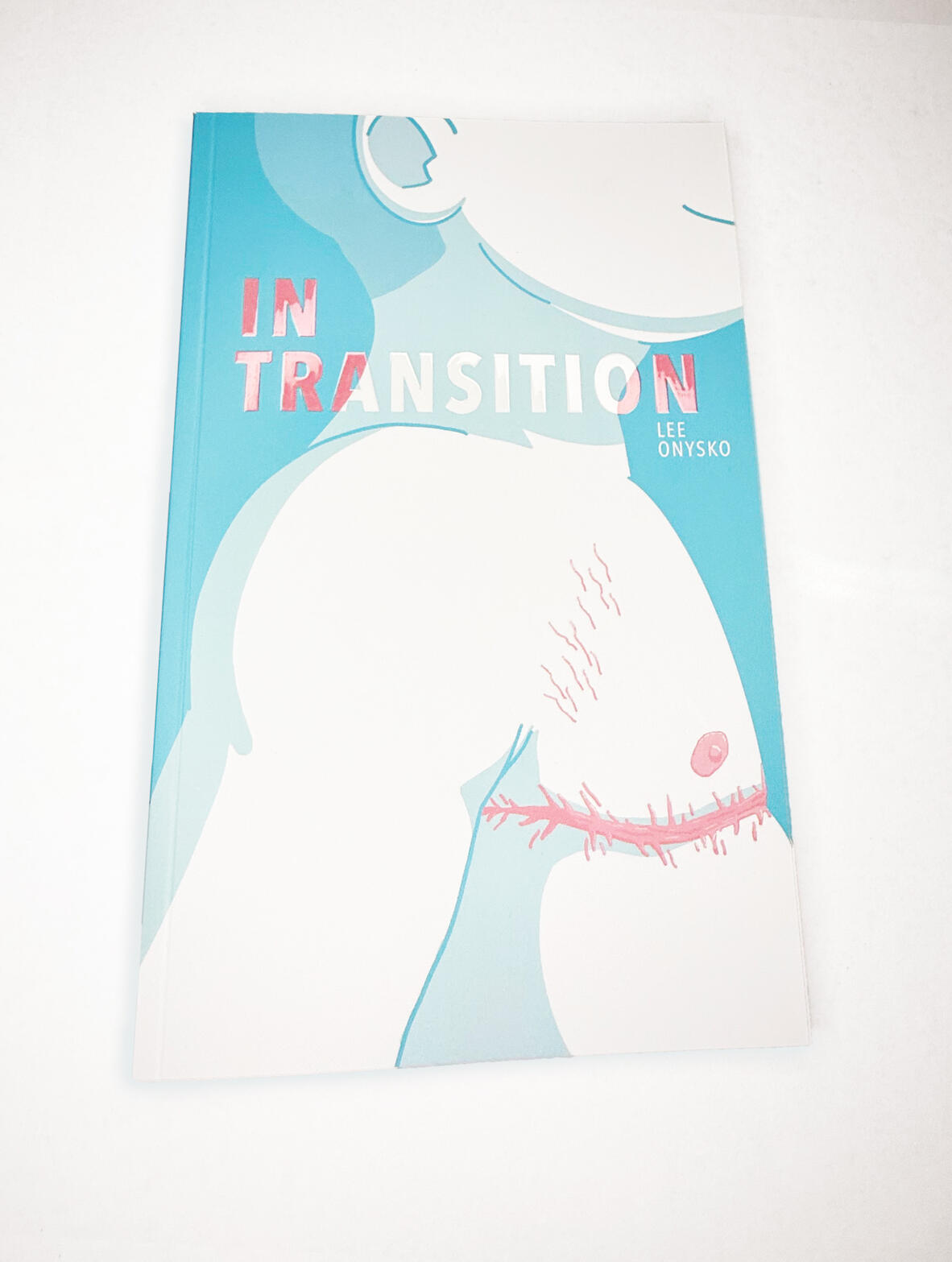 In Transition Cover